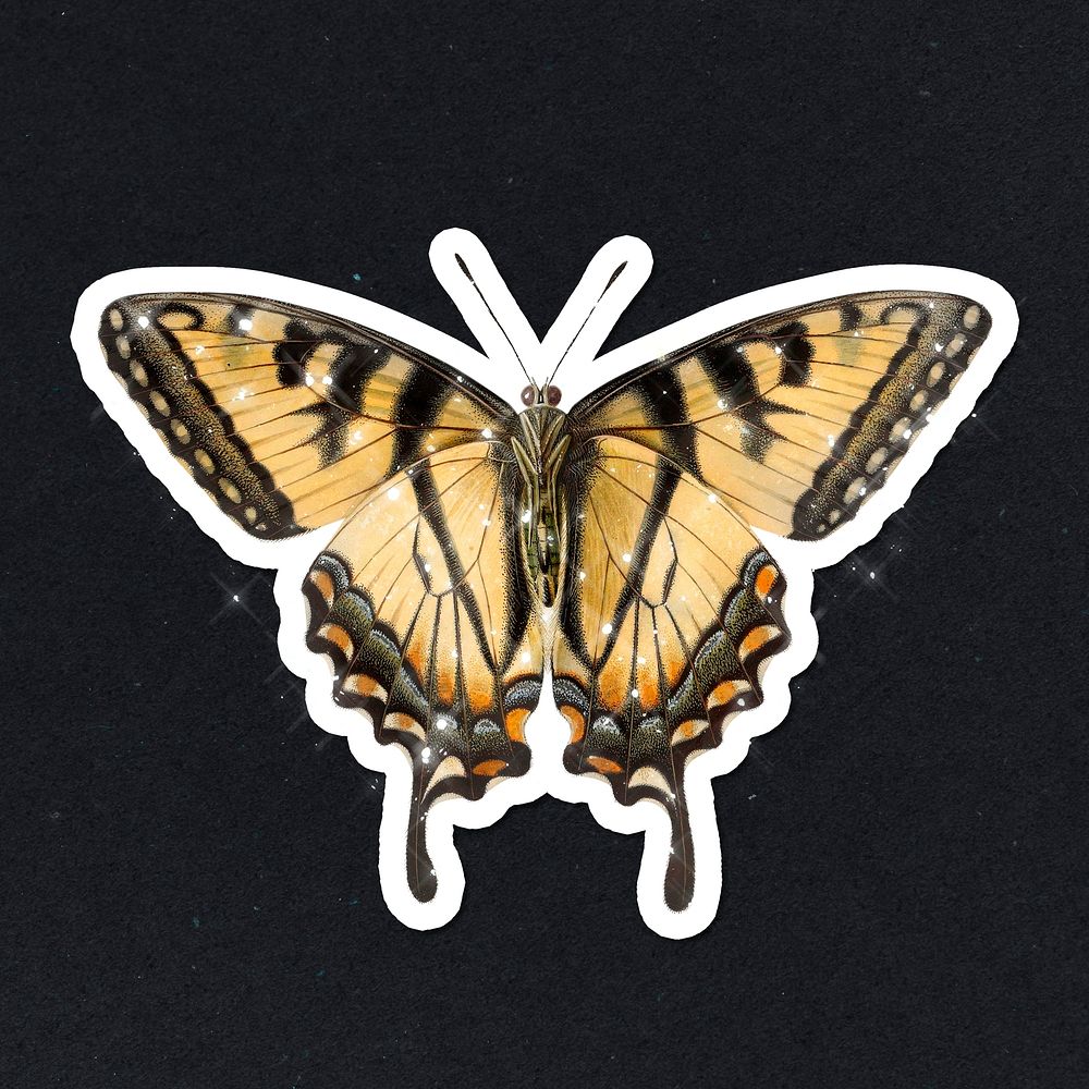 Hand drawn sparkling butterfly sticker with white border