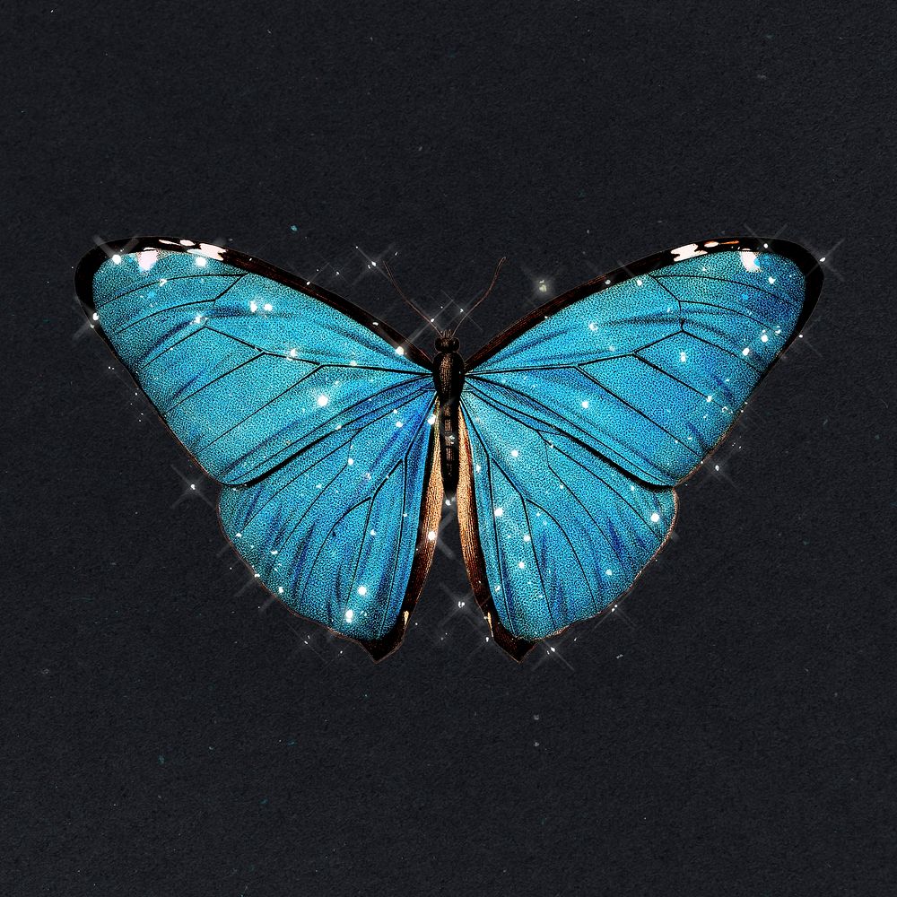 Sparkling blue butterfly design element
