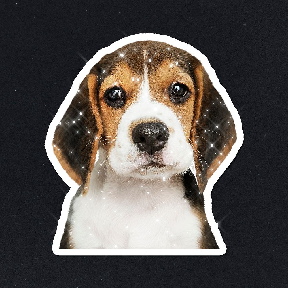 Sparkling beagle puppy sticker with white border