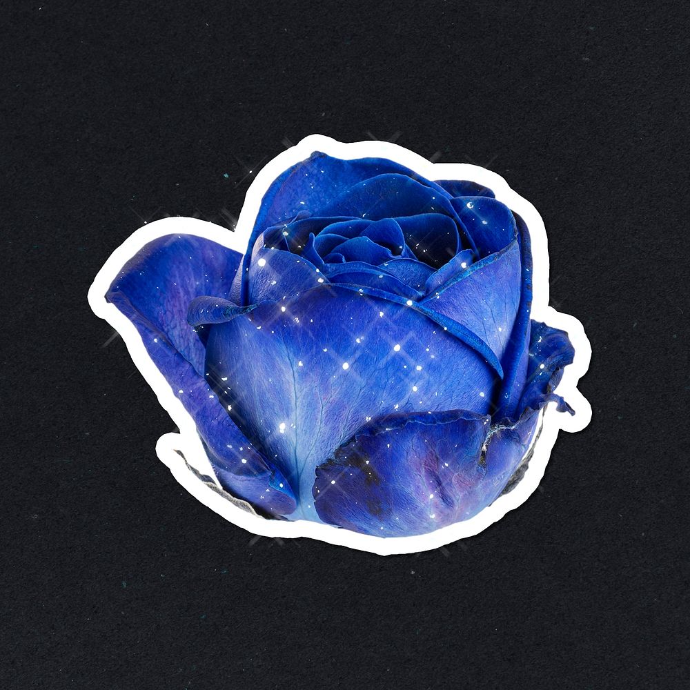 Sparkling blue rose flower sticker with white border