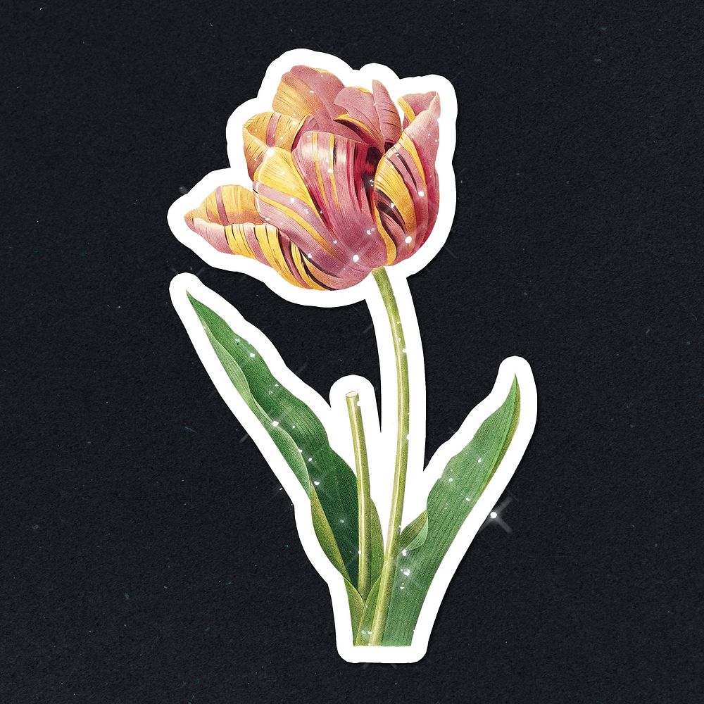 Hand drawn sparkling two-tone tulip flower sticker with white border