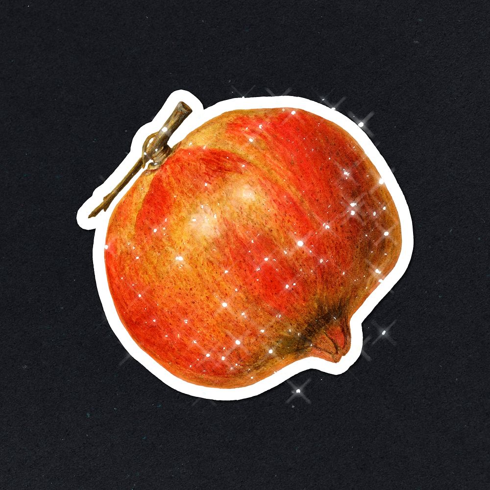 Hand drawn sparkling pomegranate  fruit sticker with white border