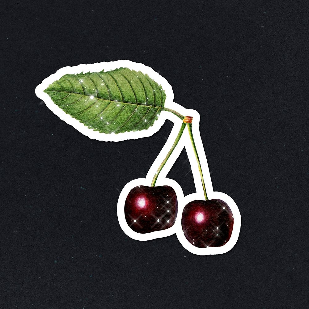 Hand drawn sparkling cherry fruit sticker with white border