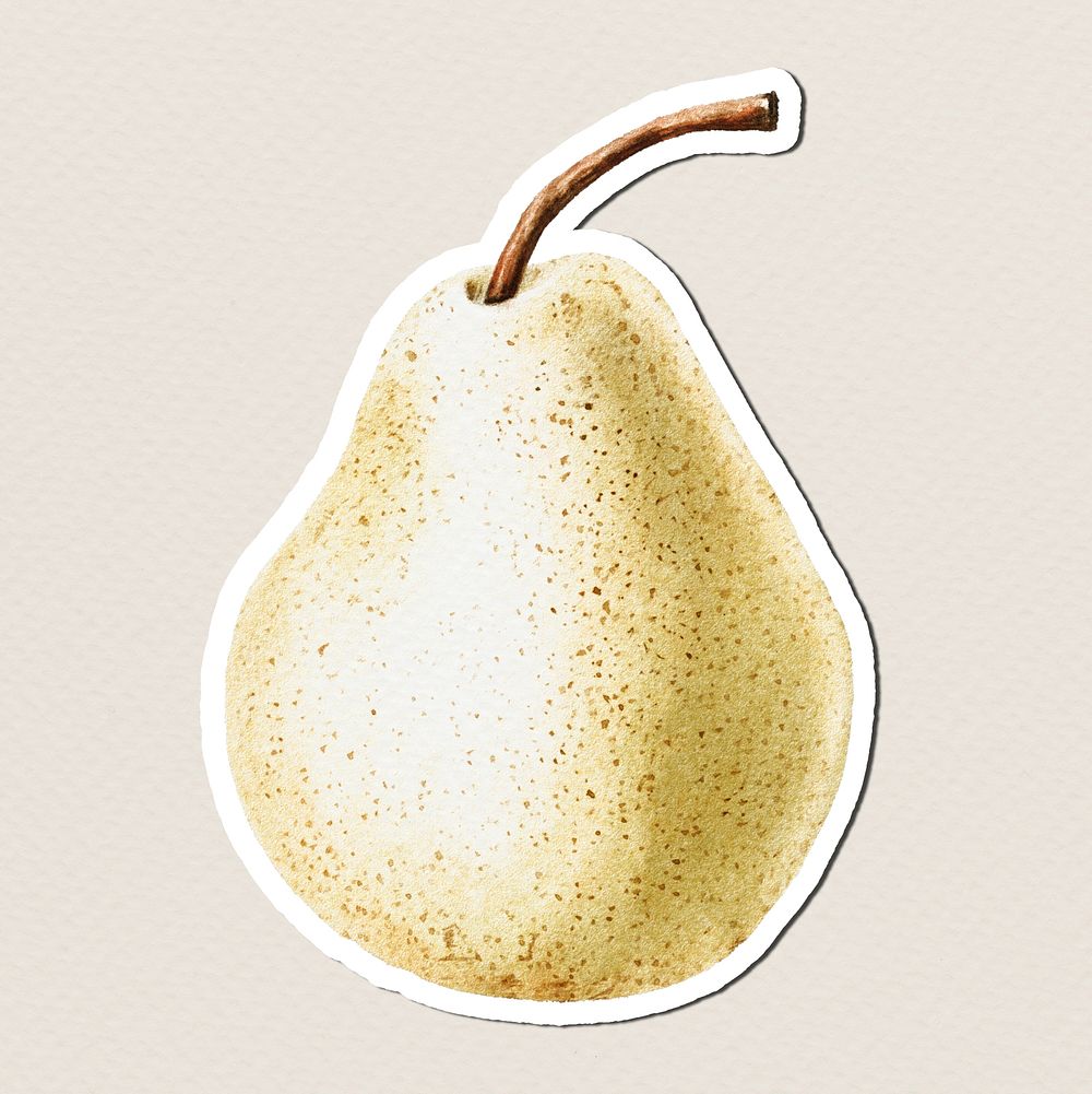 Hand colored pear sticker illustration with white border