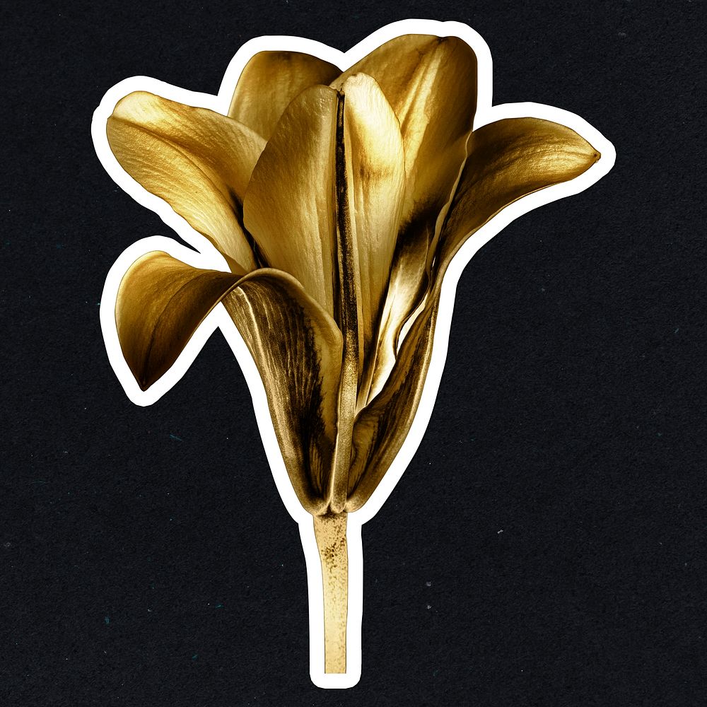 Gold lily flower sticker with a white border
