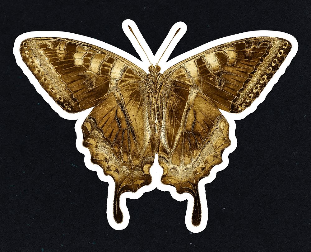 Gold butterfly sticker with a white border