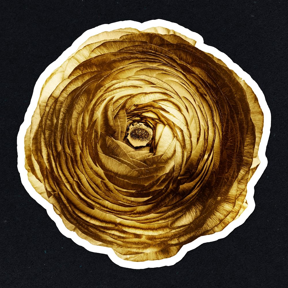 Gold ranunculus flower sticker with a white border