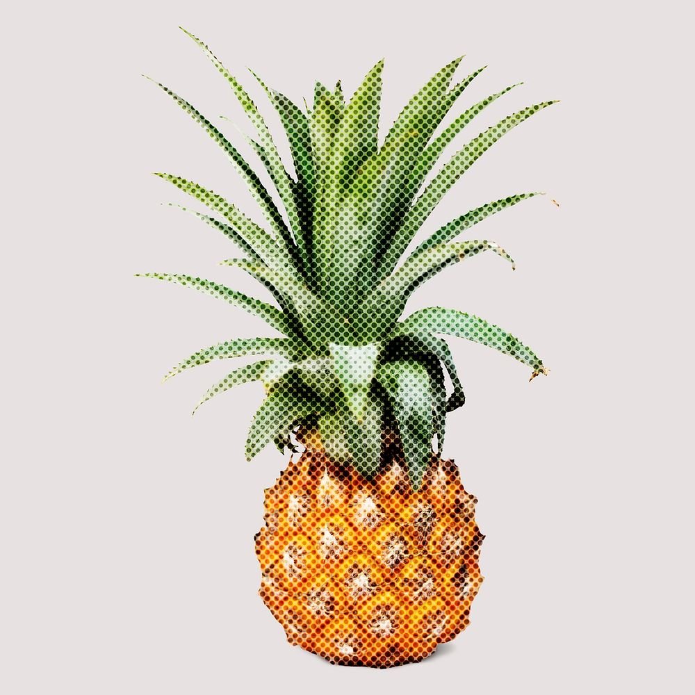 Fresh pineapple illustration halftone style
