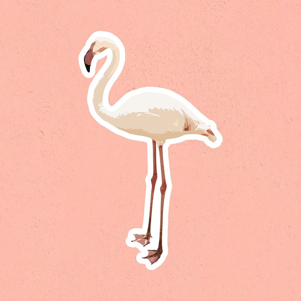 Vectorized white flamingo bird sticker with white border