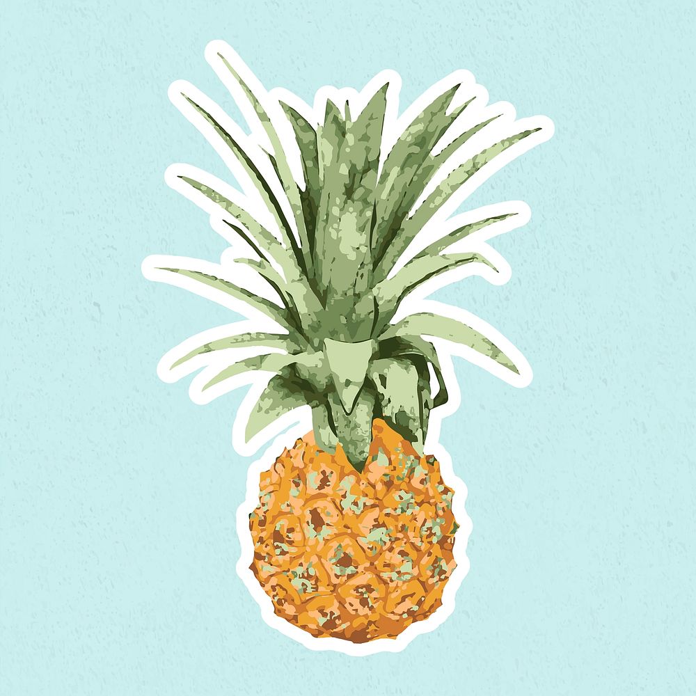 Vectorized pineapple sticker with white border on a blue background
