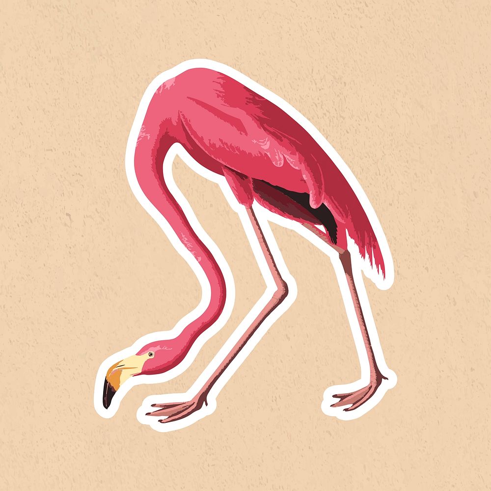 Vectorized pink flamingo bird sticker with white border