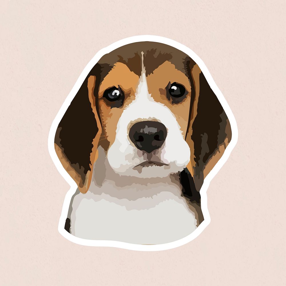 Vectorized adorable beagle sticker with a white border