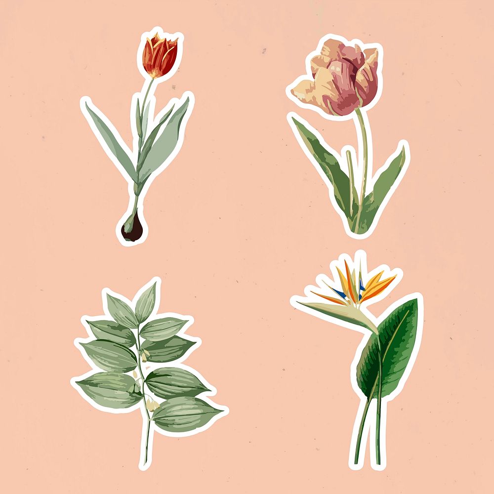 Vectorized flower sticker collection design elements