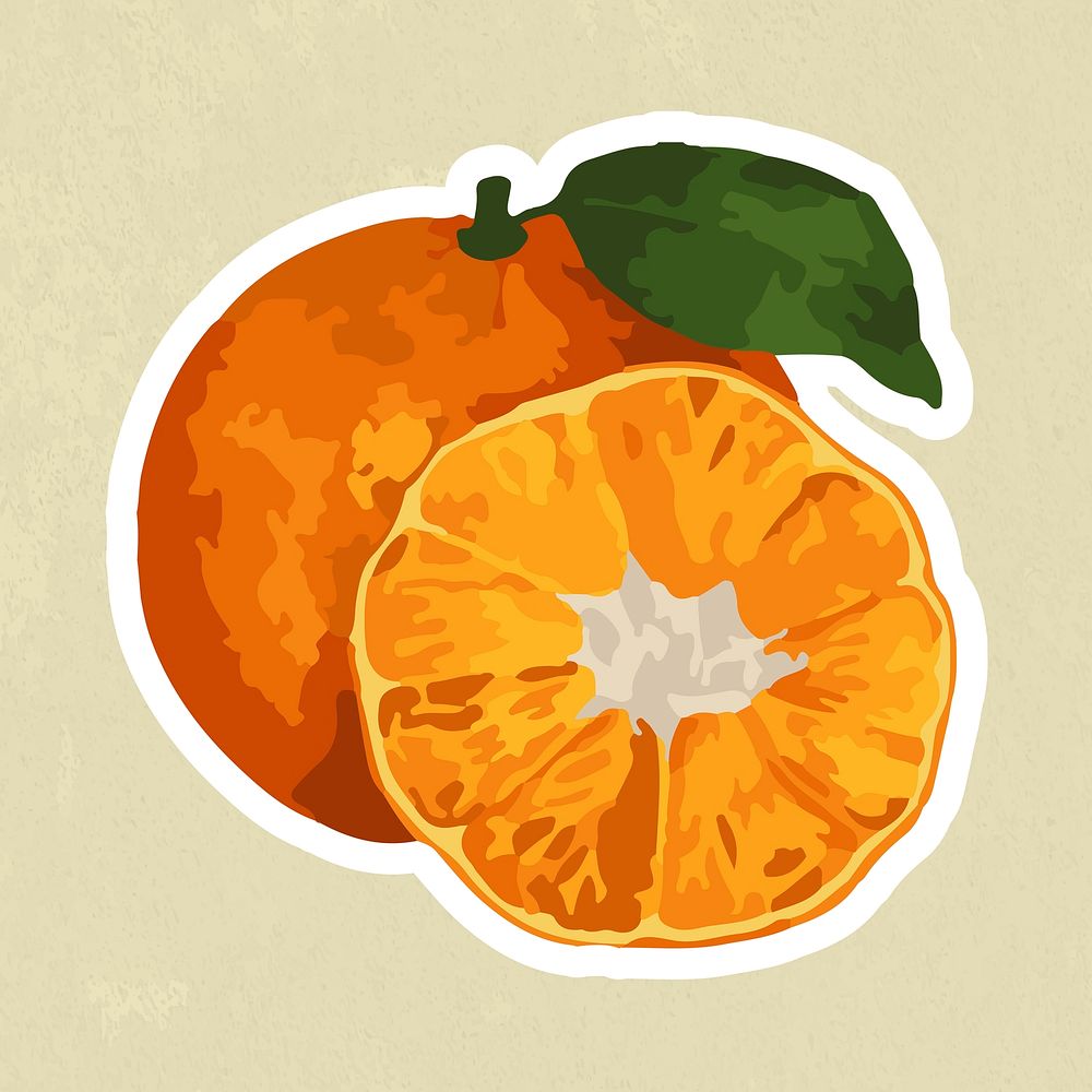 Hand drawn vectorized tangerine orange sticker with white border