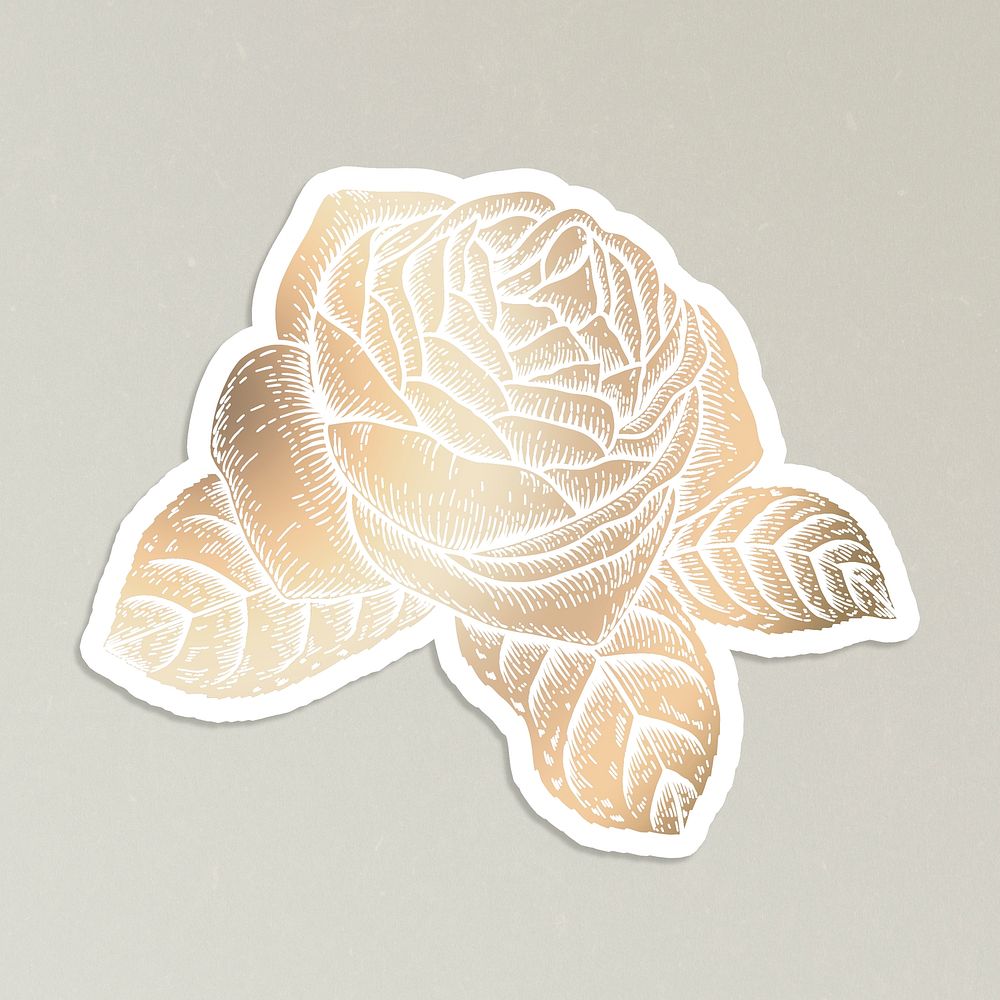 Shiny golden rose flower sticker overlay with a white border design resource