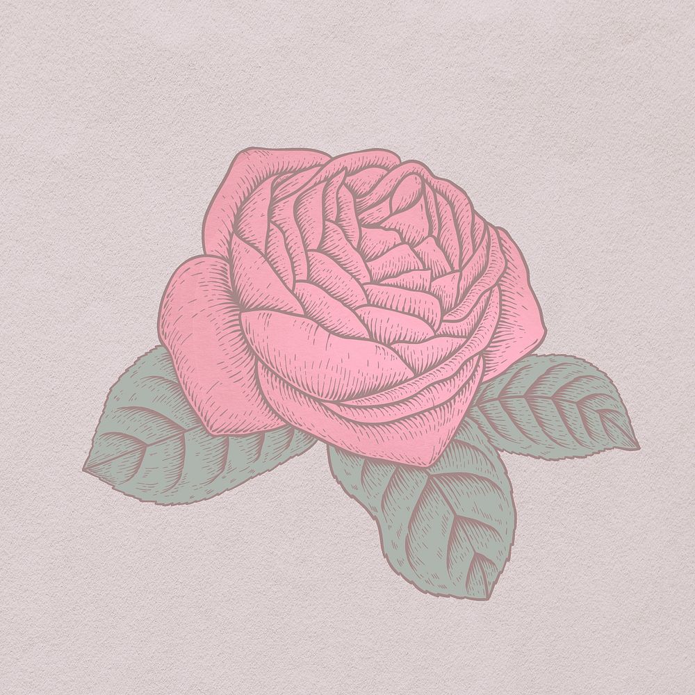 Red rose flower sticker overlay design resource 