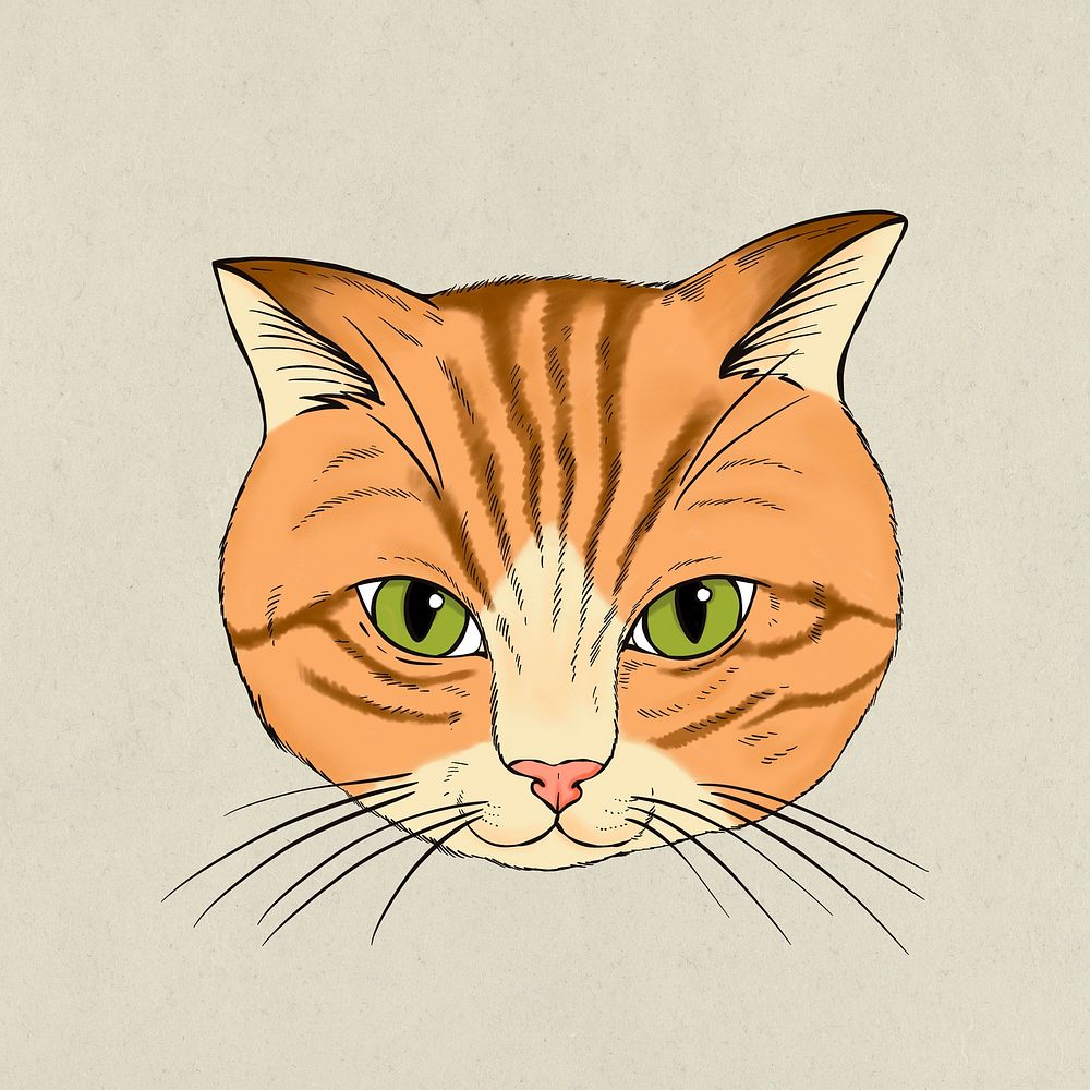 Hand drawn orange cat design element