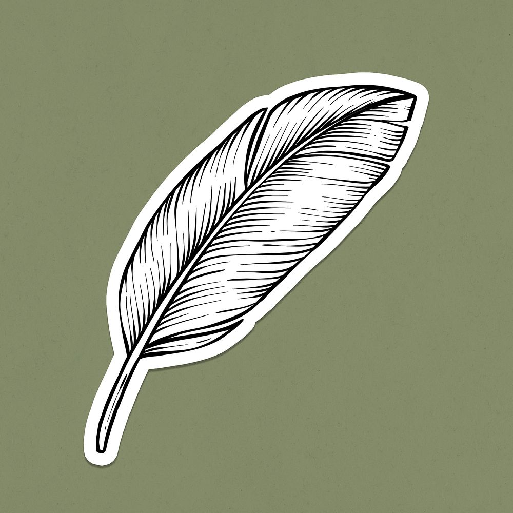 Black and white feather sticker design element