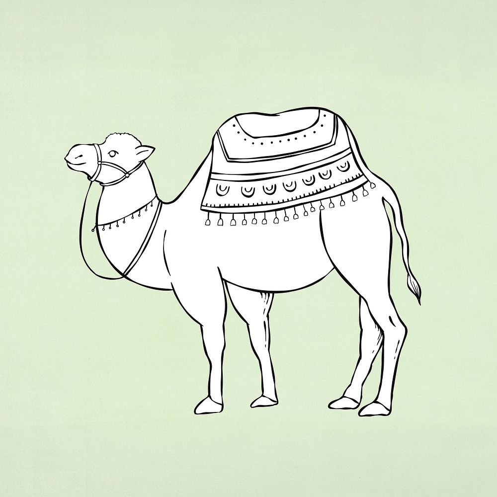 Desert safari camel element psd