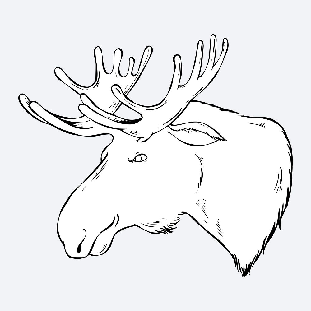 Vintage hand drawn moose cartoon clipart black and white