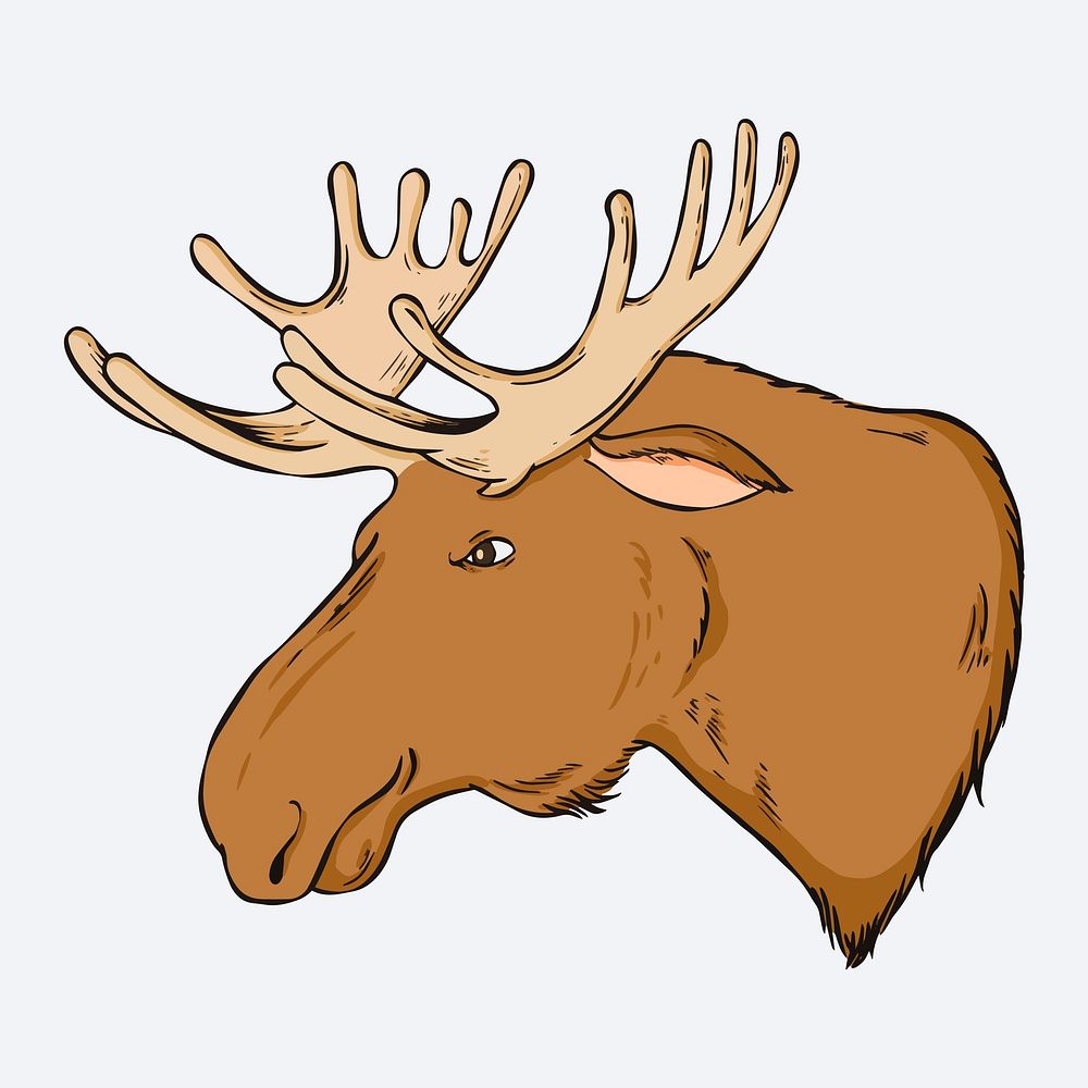 Vintage moose hand drawn clipart