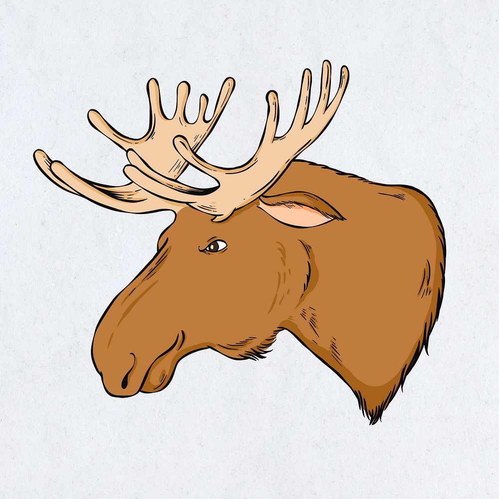 Psd vintage moose hand drawn clipart
