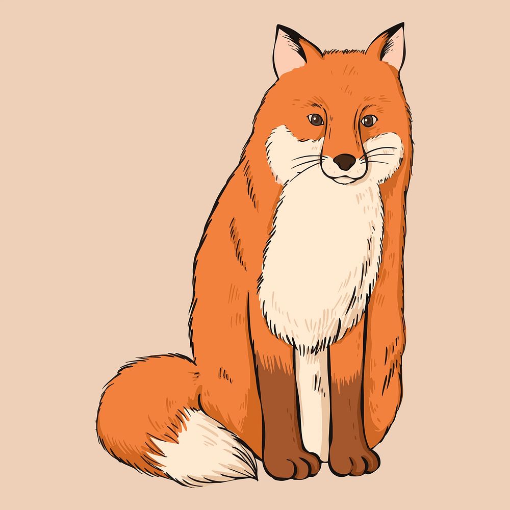 Vector vintage fox colorful illustration