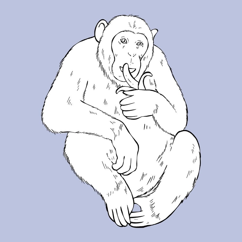 Vector vintage monkey black and white clipart