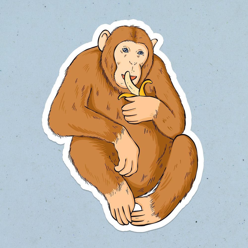 Psd cartoon sticker monkey hand drawn clipart