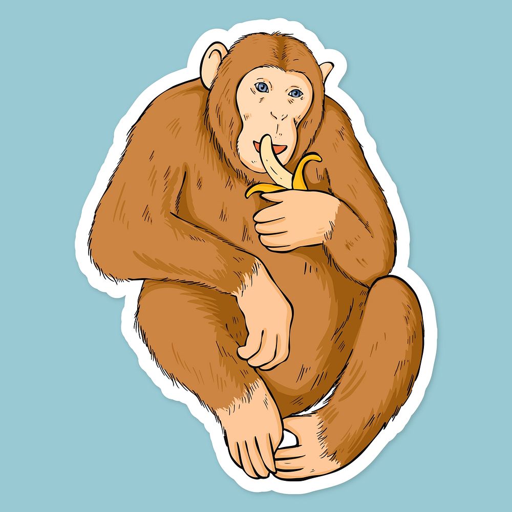 Vector cartoon sticker monkey hand drawn clipart