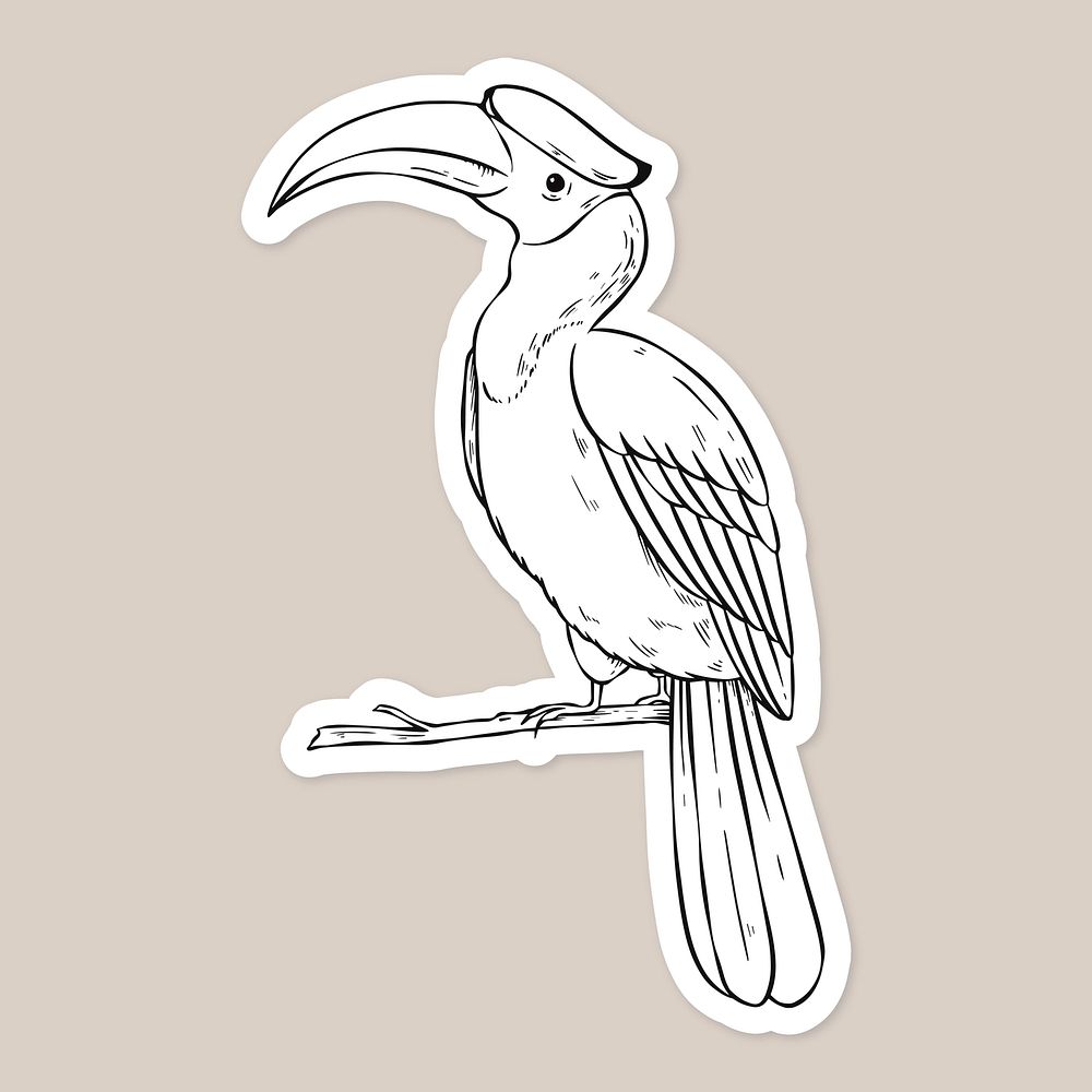 Vector hornbill vintage black and white clipart