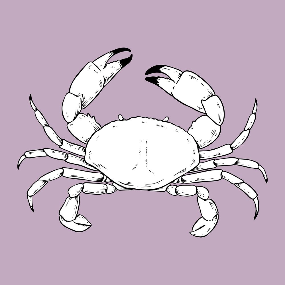 Vintage hand drawn crab cartoon clipart black and white