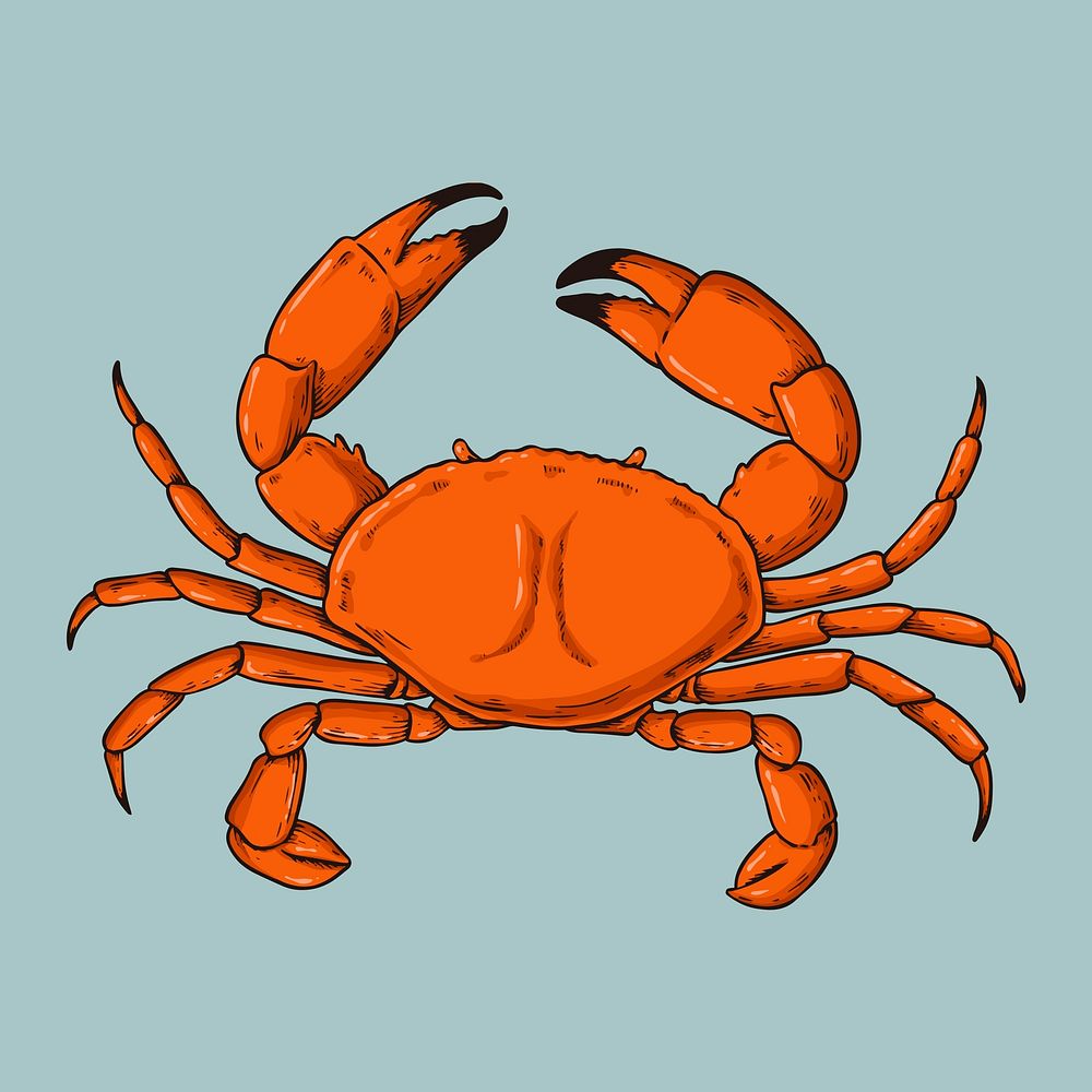 Crab vintage colorful hand drawn clipart