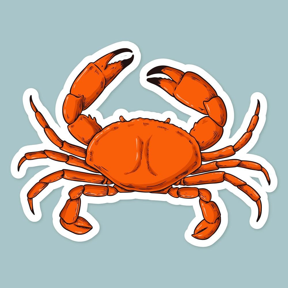 Vector cartoon sticker crab hand drawn vintage clipart