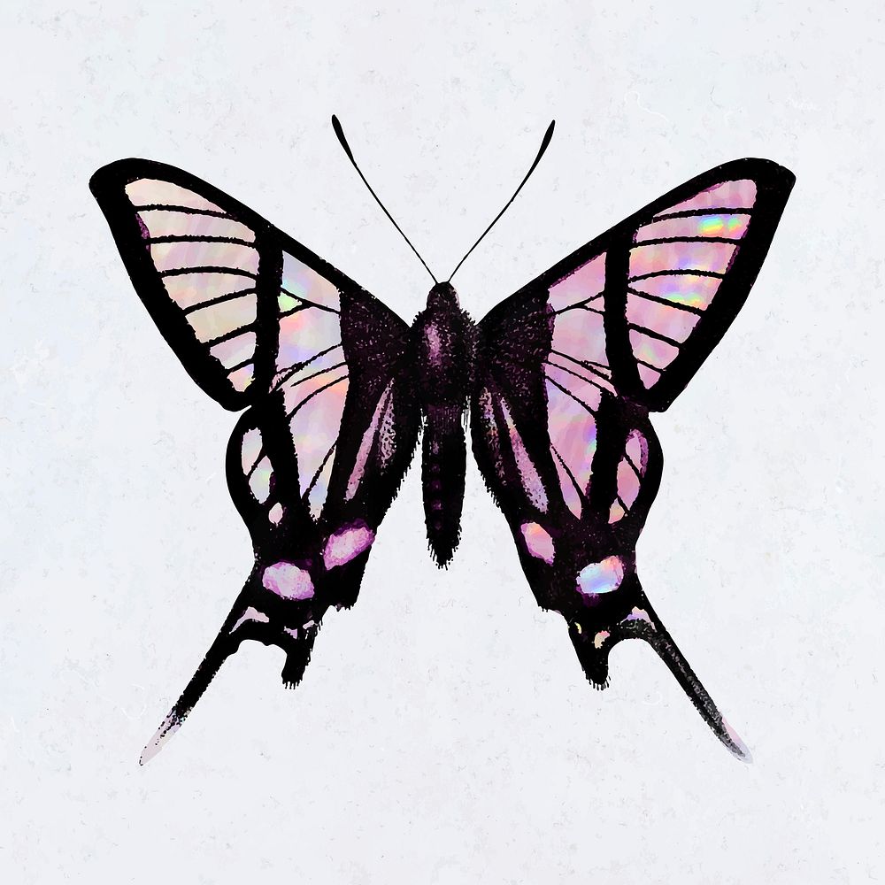 Pink holographic butterfly on a white background vector