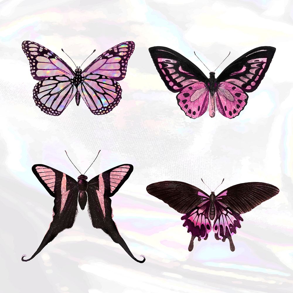 Pink holographic and glittery butterfly design element set vector