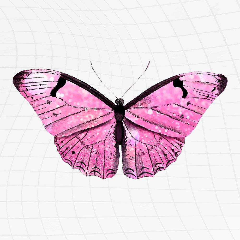 Pink butterfly on a white background vector