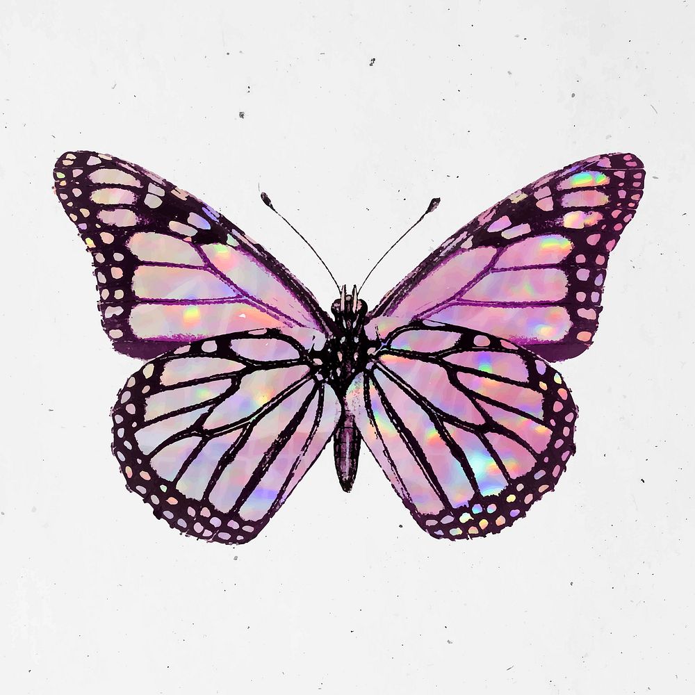 Pink holographic Monarch butterfly on a white wall vector