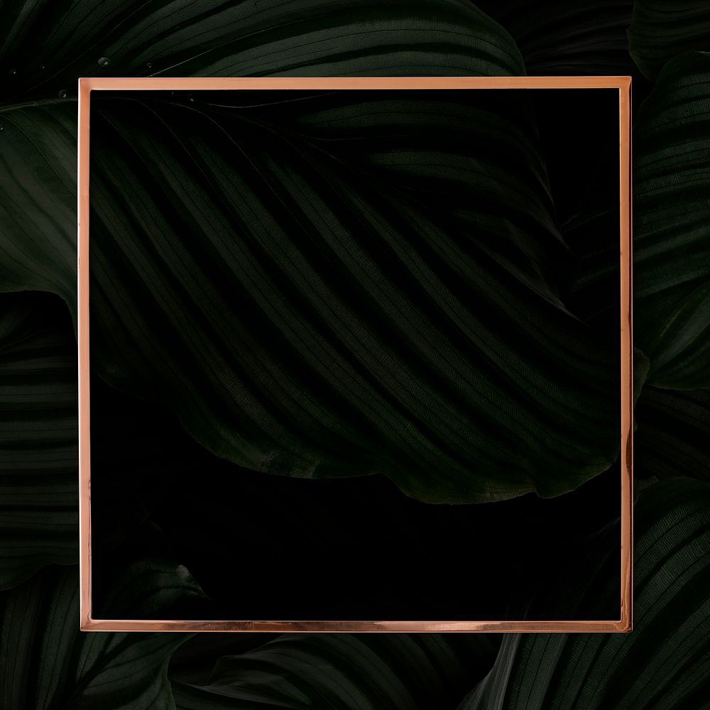 Bronze frame on dark leaf background