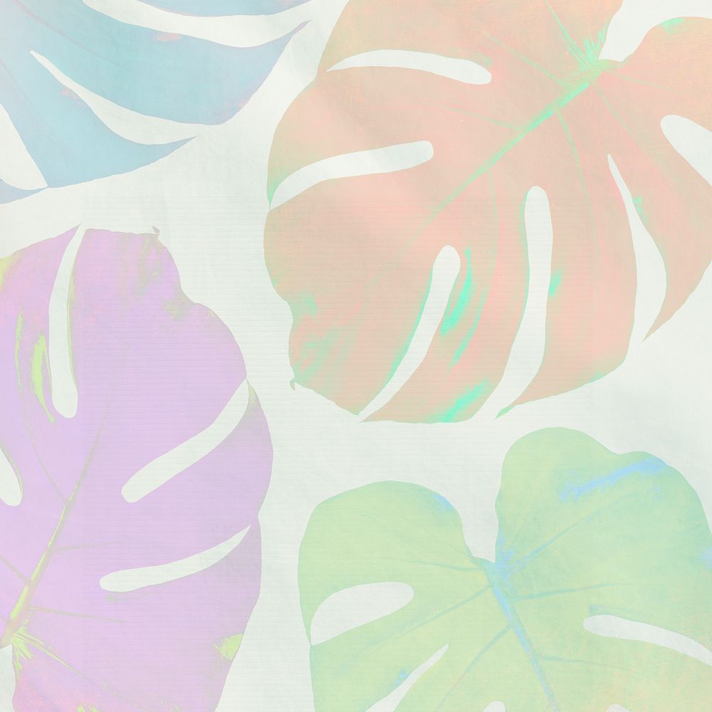 Colorful Monstera leaves on light green background