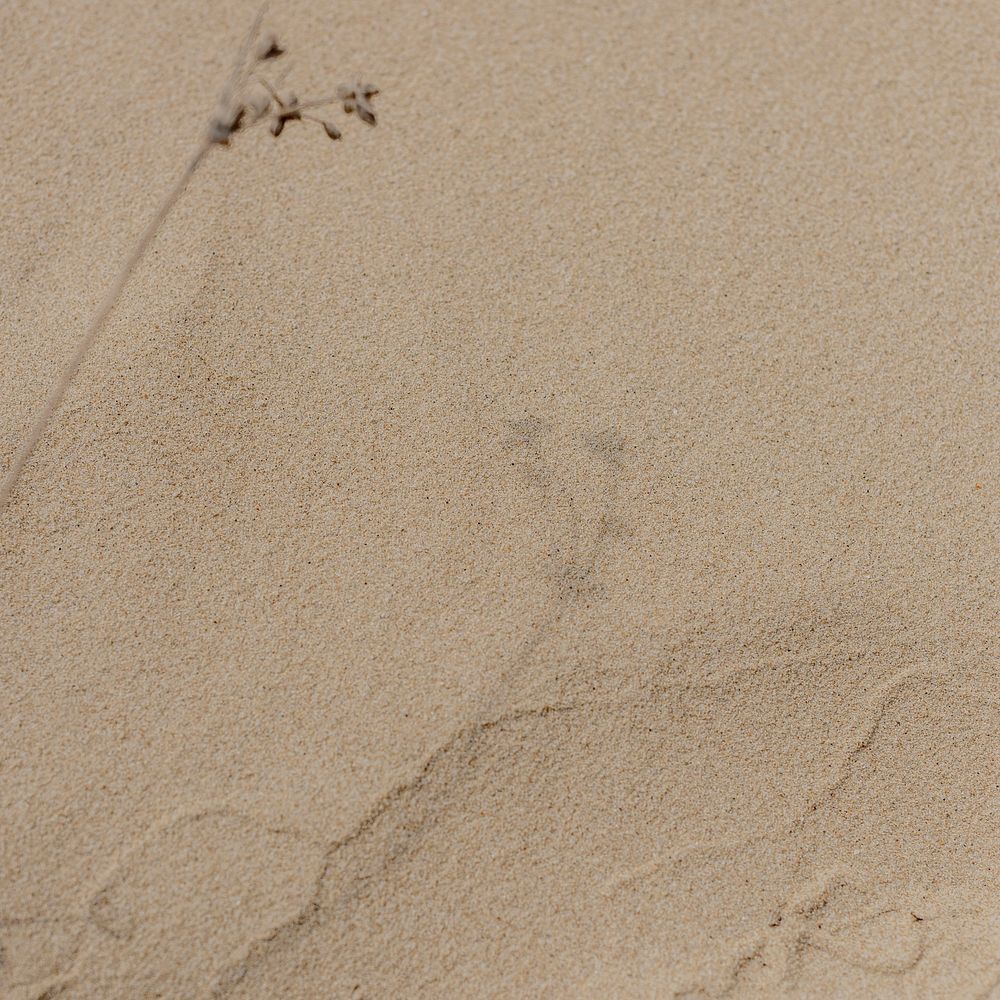 Natural beach sand texture background