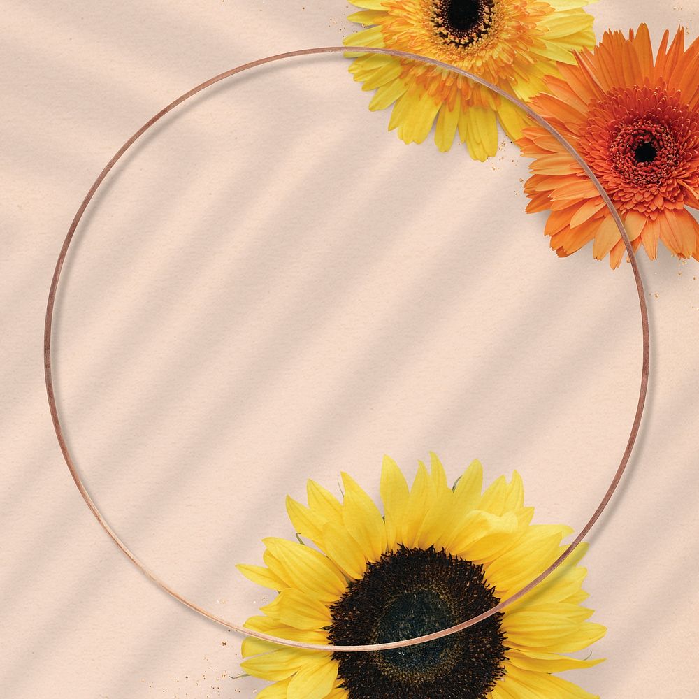 Round blooming sunflower frame on beige background
