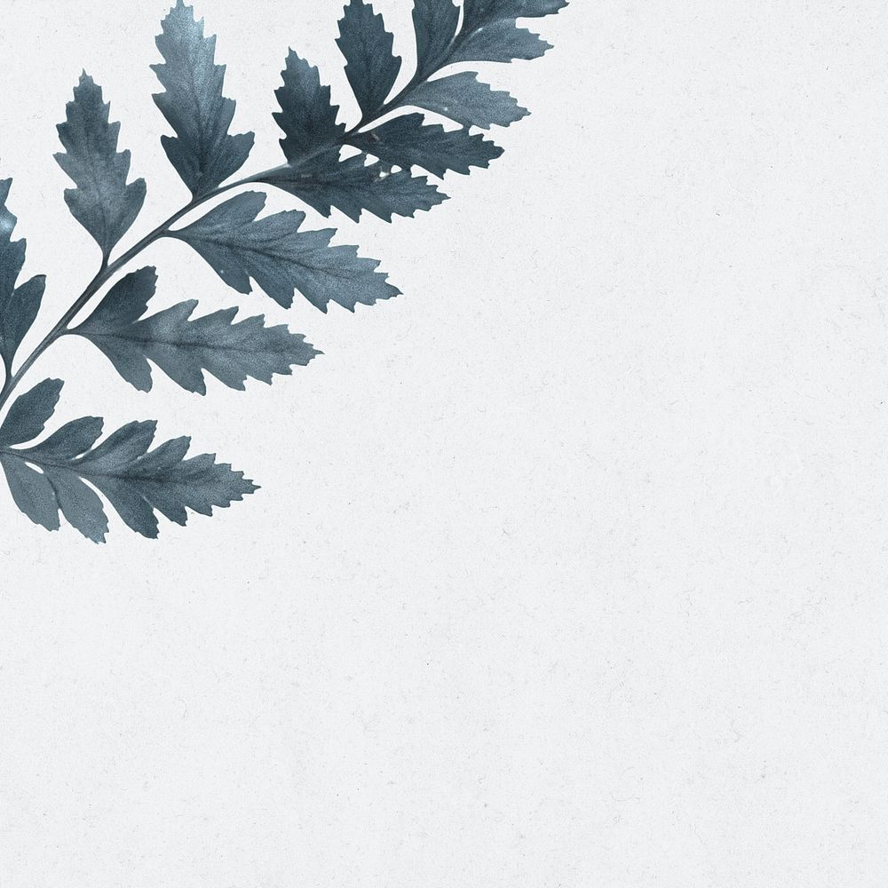 Leaf on text space psd gray background