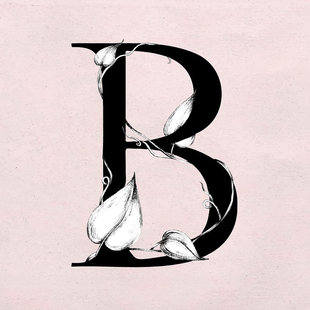 Vector font b alphabet watercolor typeface