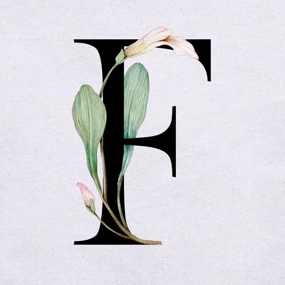 Floral f letter font vector romantic typography