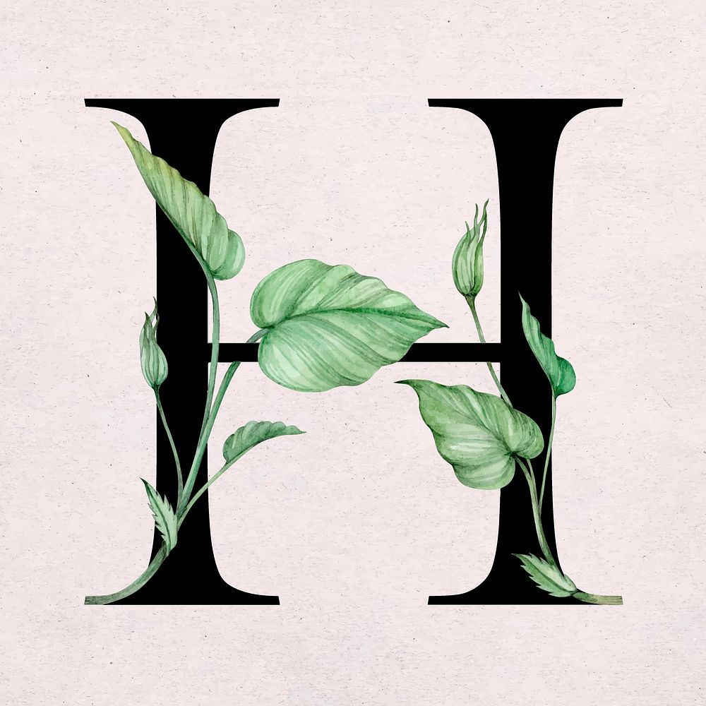 Floral h letter font vector romantic typography