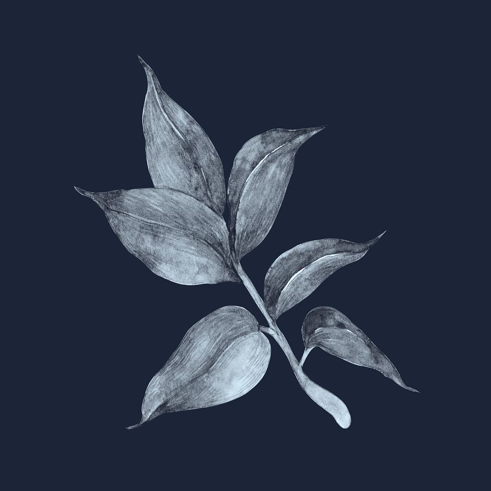 Gray watercolor leaf illustration