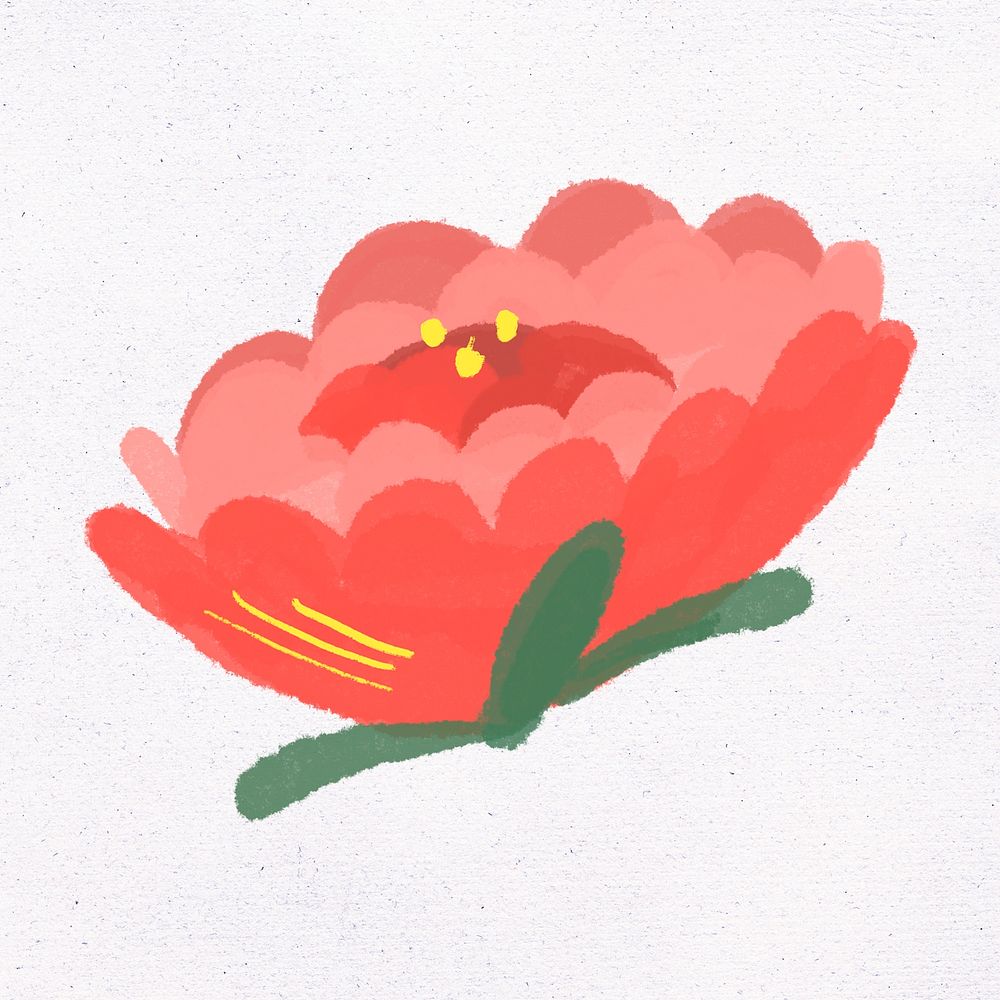 Red peony national flower of the Republic of China illustration