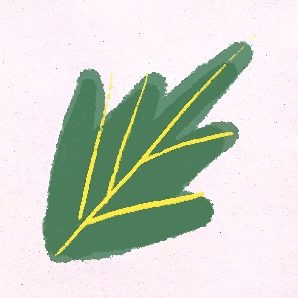 Green leaf vector botanical hand drawn
