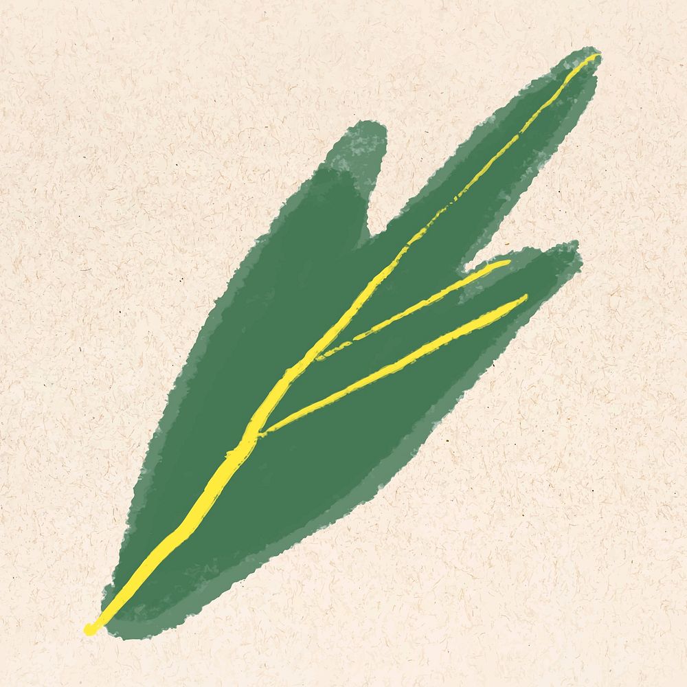 Green leaf vector botanical hand drawn